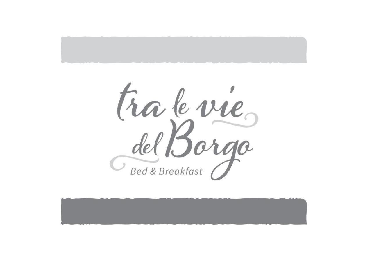 B&B Tra Le Vie Del Borgo 维耶斯泰 外观 照片