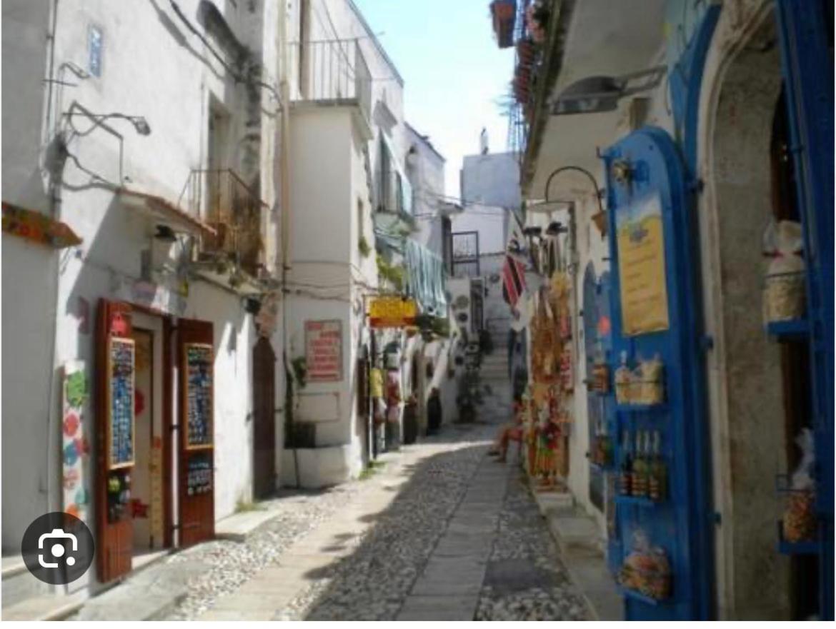 B&B Tra Le Vie Del Borgo 维耶斯泰 外观 照片